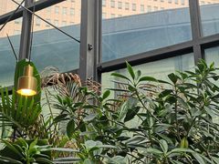 -大树餐厅(红旗街万达店)