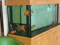 -格林豪泰酒店(北京北苑路北地铁站航空总医院店)