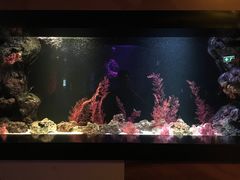 -暹罗海洋世界
