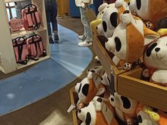 -熊猫屋(宽窄巷子景区店)