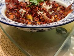 东星斑-宁波新晶都开元名庭大酒店·华晶中餐厅(百丈东路店)