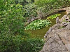-云龙山