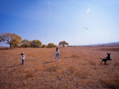 -塞罕坝国家级自然保护区