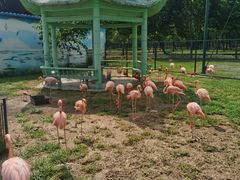 -秦皇岛野生动物园