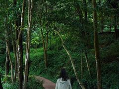 -广州市石门国家森林公园