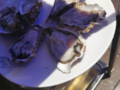 -千岛蚝高压锅生蚝·人参火锅(白云万达店)