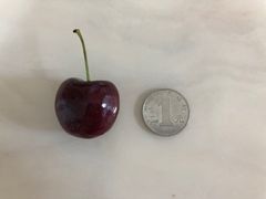 -盒马鲜生(曜一城店)