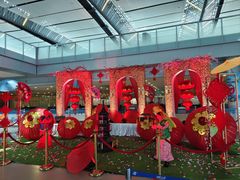 -西沃古尔·拉姆古兰爵士国际机场