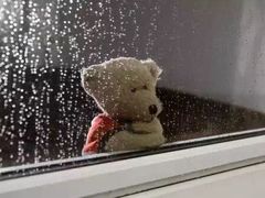 -Global酒吧(五道口店)