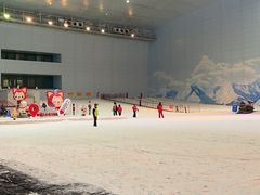 -哈尔滨热雪奇迹