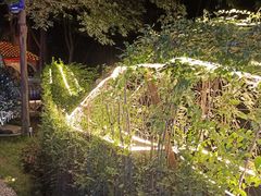 -二荆条·蜀鲜汇城市森林火锅