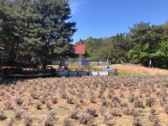 -云峰山自然风景区