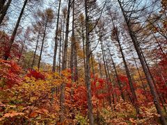 -本溪老边沟风景区