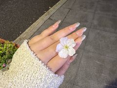 -武汉大学-樱园