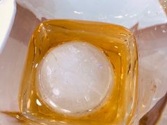 -百好乐宠物友好餐厅(朝外大街店)