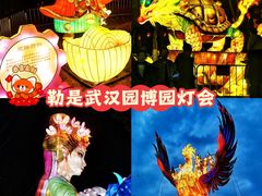 -武汉园博园(武汉自然博物馆)
