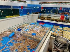 -北塘海鲜·天津菜(大光明桥旗舰店)