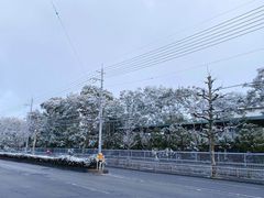 -雾凇岛