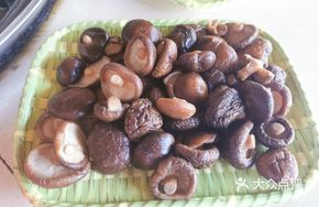 Water-Soaked Small Mushrooms