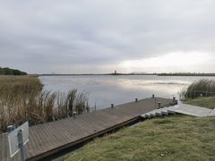 -贡湖湾湿地公园