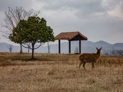-良渚古城遗址公园