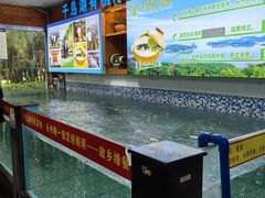 -故乡缘·香格里拉山庄(冷竹路店)