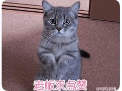 -重庆鸡公煲·青锅花椒鱼(牡丹江路店)