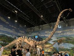 -自贡恐龙博物馆
