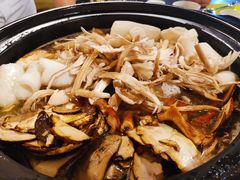 -易门野生菌府·菌海森林(月牙潭公园店)