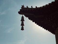 -金岛生态园烧烤露营地