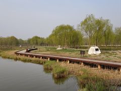 -西青郊野公园