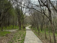 -帽儿山风景区