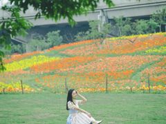 -秀丽东方