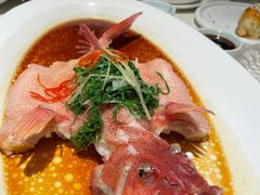 东星斑清蒸东星斑-维园悦谱·海派家常菜(乌鲁木齐南路店)