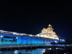 -泰达航母主题公园