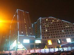 -奥体中心(地铁站)