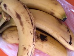 -百果园(愉景南苑店)