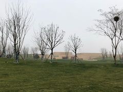 -盘龙城国家考古遗址公园