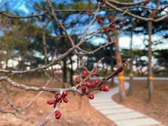 -北京西山国家森林公园