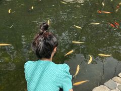 -大连天门山国家森林公园
