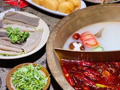 红白鸳鸯锅-小龙坎火锅(阳泉店)