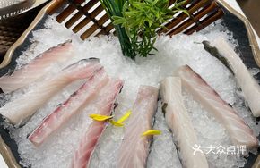 Collagen Fish Fillet