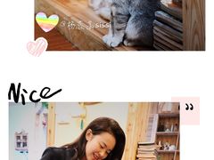 -猫色咖啡·猫咖