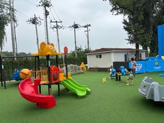 -中国宋庆龄青少年科技文化交流中心