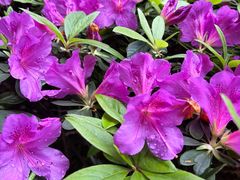 -龙湖重庆时代天街