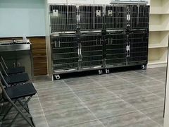 -美联众合宠物医院·爱萌分院·内外科·猫科中心