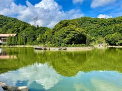 -广州市帽峰山景区