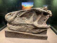 -自贡恐龙博物馆