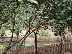 -第五季龙水凤港生态露营农场