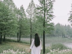 -尚贤河湿地